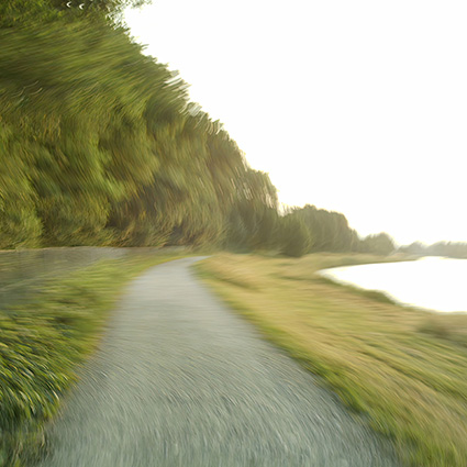 The Run